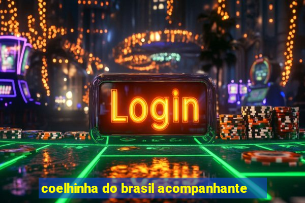 coelhinha do brasil acompanhante